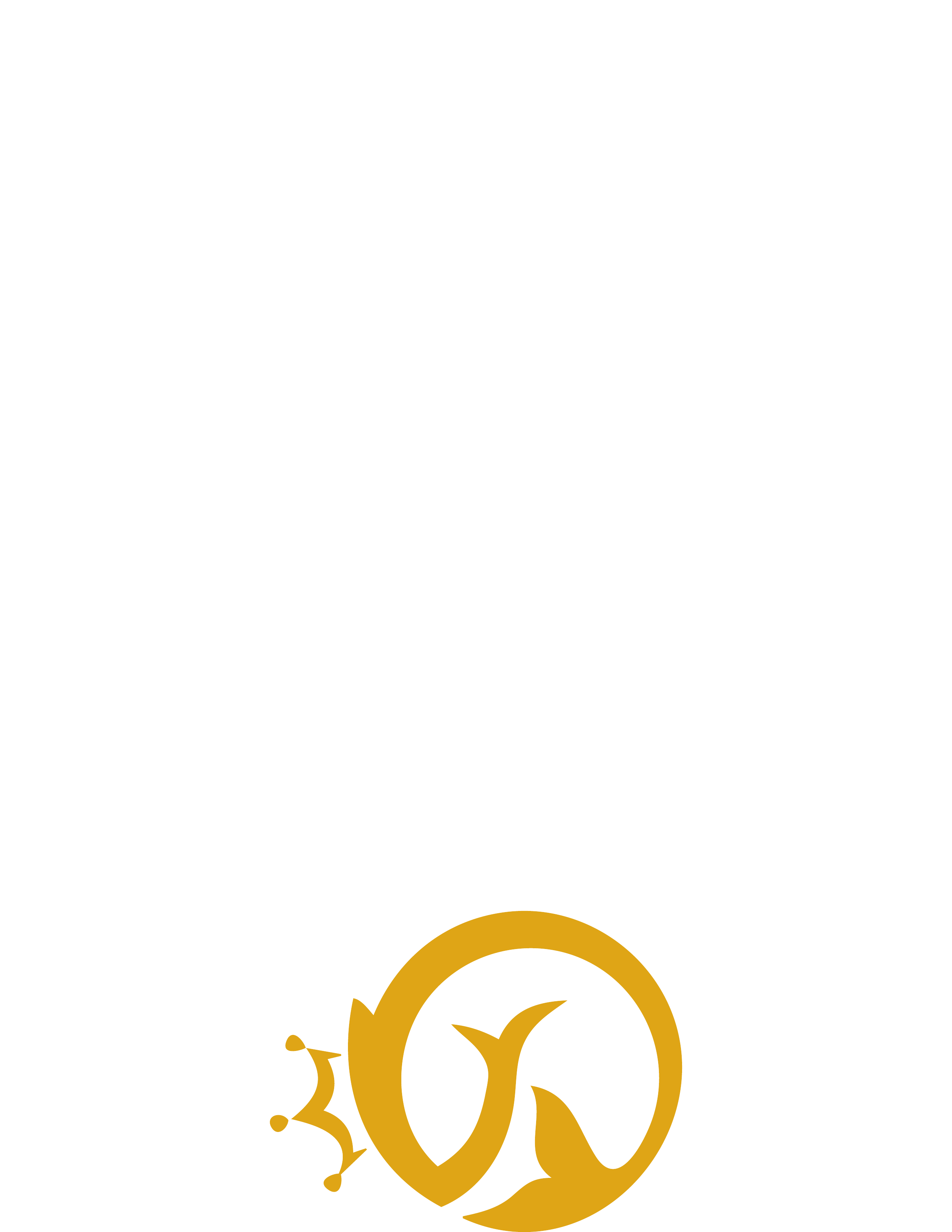 King Fish Logo